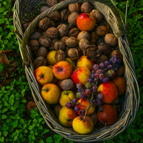 Fruits